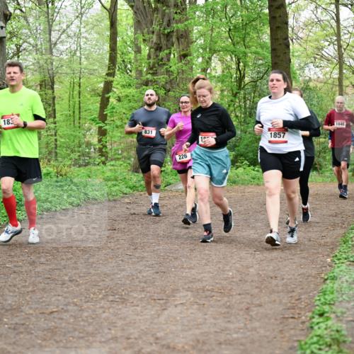 19.04.2026 - Hammer Lauf Dr. Thomas Lammeyer http://msf.ph/oto/9558852 19.04.2026 12:46:12 Laufen 183, 831, 226, 1857, 1840 meine-sportfotos.de