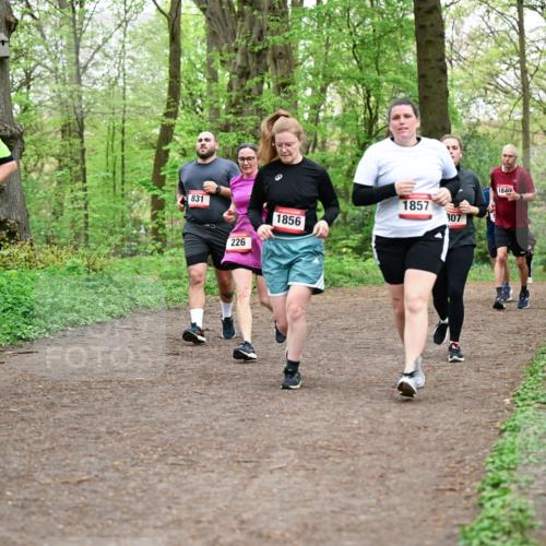 19.04.2026 - Hammer Lauf Dr. Thomas Lammeyer http://msf.ph/oto/9558855 19.04.2026 12:46:12 Laufen 1831, 831, 226, 1856, 1857, 307, 184 meine-sportfotos.de