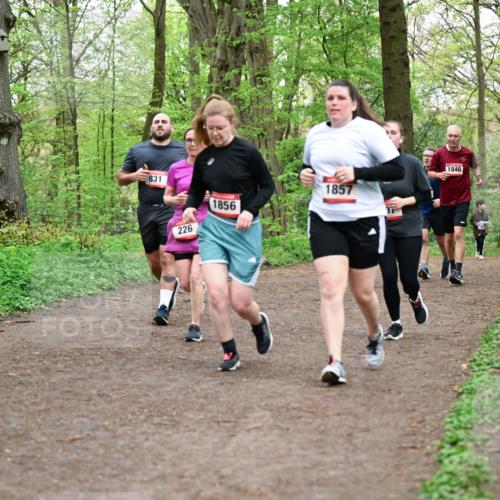 19.04.2026 - Hammer Lauf Dr. Thomas Lammeyer http://msf.ph/oto/9558857 19.04.2026 12:46:13 Laufen 831, 226, 1856, 1857, 1840 meine-sportfotos.de