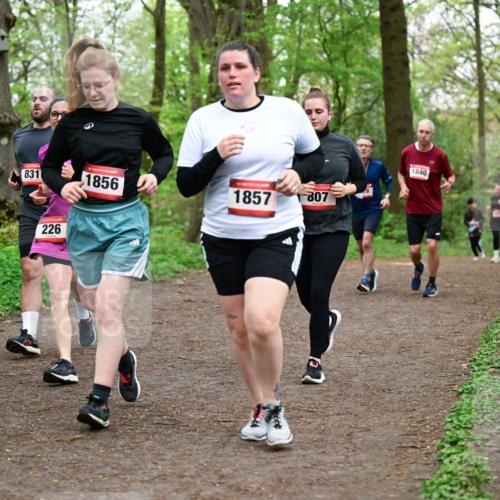 19.04.2026 - Hammer Lauf Dr. Thomas Lammeyer http://msf.ph/oto/9558863 19.04.2026 12:46:14 Laufen 831, 1856, 1857, 807, 226, 1840 meine-sportfotos.de