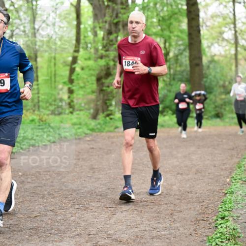 19.04.2026 - Hammer Lauf Dr. Thomas Lammeyer http://msf.ph/oto/9558883 19.04.2026 12:46:17 Laufen 939, 194, 184 meine-sportfotos.de