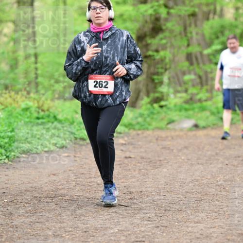 19.04.2026 - Hammer Lauf Dr. Thomas Lammeyer http://msf.ph/oto/9559252 19.04.2026 12:47:21 Laufen 262, 411 meine-sportfotos.de