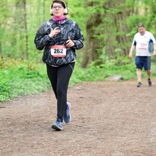 19.04.2026 - Hammer Lauf Dr. Thomas Lammeyer http://msf.ph/oto/9559255 19.04.2026 12:47:22 Laufen 262 meine-sportfotos.de
