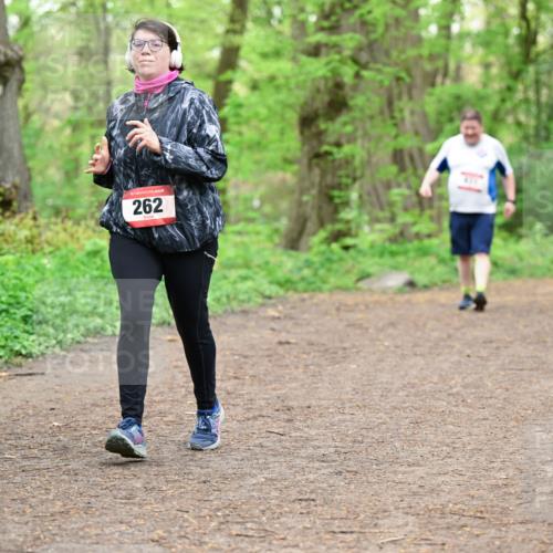 19.04.2026 - Hammer Lauf Dr. Thomas Lammeyer http://msf.ph/oto/9559258 19.04.2026 12:47:22 Laufen 262 meine-sportfotos.de