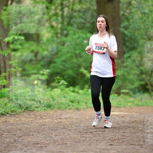 19.04.2026 - Hammer Lauf Dr. Thomas Lammeyer http://msf.ph/oto/9559306 19.04.2026 12:47:30 Laufen 1587 meine-sportfotos.de