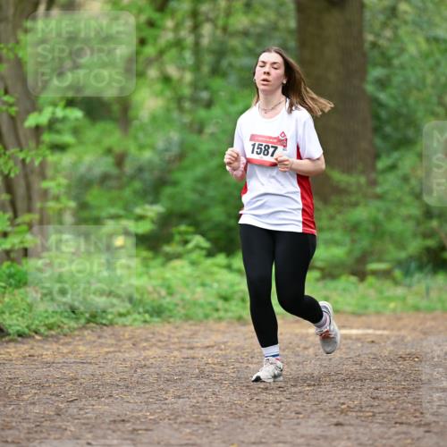 19.04.2026 - Hammer Lauf Dr. Thomas Lammeyer http://msf.ph/oto/9559309 19.04.2026 12:47:30 Laufen 1587 meine-sportfotos.de