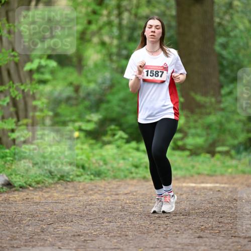 19.04.2026 - Hammer Lauf Dr. Thomas Lammeyer http://msf.ph/oto/9559311 19.04.2026 12:47:31 Laufen 1587 meine-sportfotos.de