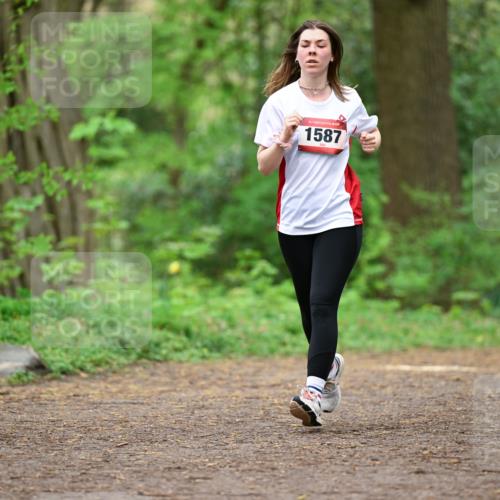 19.04.2026 - Hammer Lauf Dr. Thomas Lammeyer http://msf.ph/oto/9559318 19.04.2026 12:47:31 Laufen 1587 meine-sportfotos.de