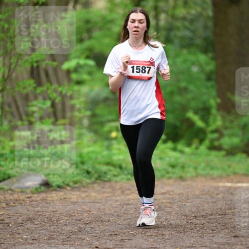 19.04.2026 - Hammer Lauf Dr. Thomas Lammeyer http://msf.ph/oto/9559321 19.04.2026 12:47:31 Laufen 1587 meine-sportfotos.de