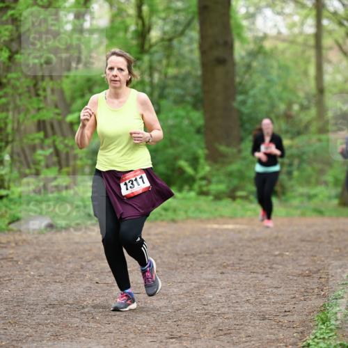 19.04.2026 - Hammer Lauf Dr. Thomas Lammeyer http://msf.ph/oto/9559433 19.04.2026 12:47:48 Laufen 1311 meine-sportfotos.de
