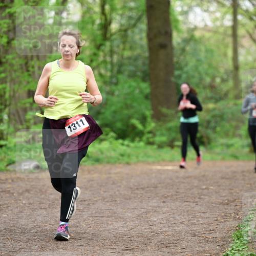 19.04.2026 - Hammer Lauf Dr. Thomas Lammeyer http://msf.ph/oto/9559439 19.04.2026 12:47:49 Laufen 1311 meine-sportfotos.de