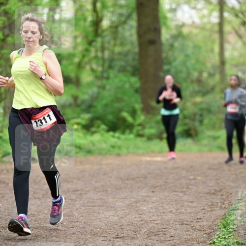 19.04.2026 - Hammer Lauf Dr. Thomas Lammeyer http://msf.ph/oto/9559441 19.04.2026 12:47:49 Laufen 1311 meine-sportfotos.de