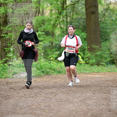 19.04.2026 - Hammer Lauf Dr. Thomas Lammeyer http://msf.ph/oto/9559700 19.04.2026 12:48:22 Laufen 1584 meine-sportfotos.de