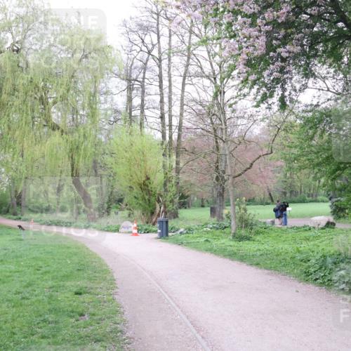 19.04.2026 - Hammer Lauf Lena Gebhardt http://msf.ph/oto/9561720 19.04.2026 08:57:16 Laufen  meine-sportfotos.de