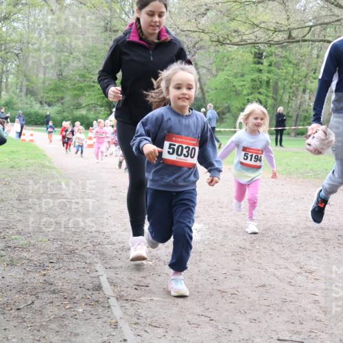 19.04.2026 - Hammer Lauf Lena Gebhardt http://msf.ph/oto/9561860 19.04.2026 09:01:40 Laufen 5088, 16, 5030, 5194, 1700 meine-sportfotos.de