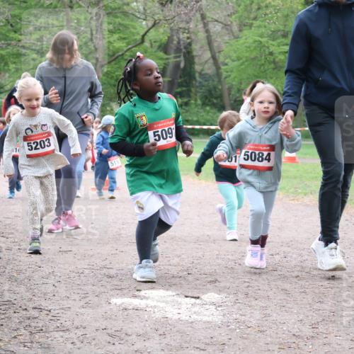 19.04.2026 - Hammer Lauf Lena Gebhardt http://msf.ph/oto/9561916 19.04.2026 09:02:05 Laufen 5150, 5203, 518, 16, 509, 15084 meine-sportfotos.de