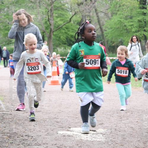 19.04.2026 - Hammer Lauf Lena Gebhardt http://msf.ph/oto/9561918 19.04.2026 09:02:06 Laufen 5203, 16, 5091, 5018, 6, 5084 meine-sportfotos.de