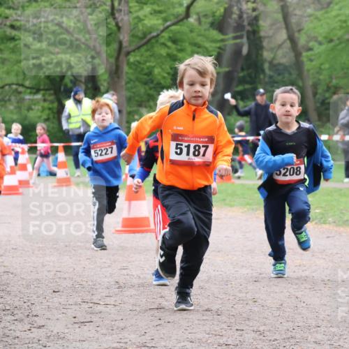 19.04.2026 - Hammer Lauf Lena Gebhardt http://msf.ph/oto/9562032 19.04.2026 09:11:01 Laufen 220, 5215, 5227, 16, 5187, 208 meine-sportfotos.de
