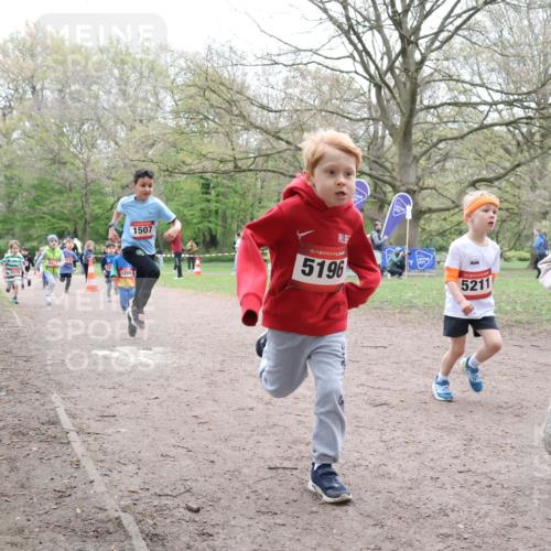19.04.2026 - Hammer Lauf Lena Gebhardt http://msf.ph/oto/9562087 19.04.2026 09:11:23 Laufen 5178, 5206, 1507, 16, 5196, 16, 5022, 5211 meine-sportfotos.de