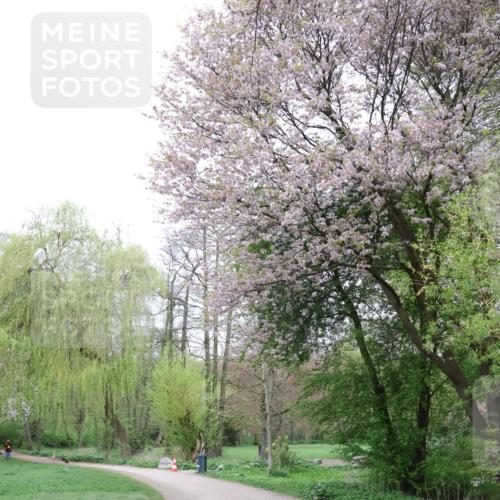 19.04.2026 - Hammer Lauf Lena Gebhardt http://msf.ph/oto/9562269 19.04.2026 09:16:18 Laufen  meine-sportfotos.de