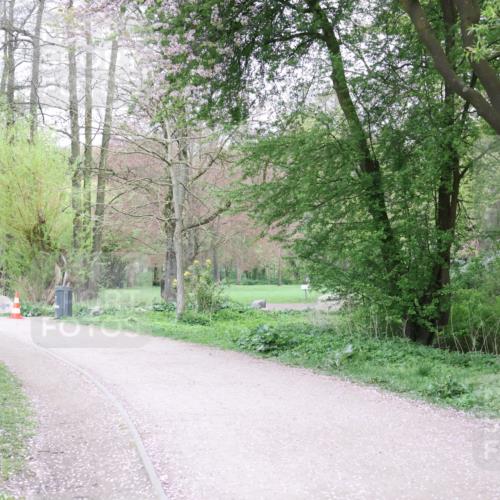 19.04.2026 - Hammer Lauf Lena Gebhardt http://msf.ph/oto/9562272 19.04.2026 09:18:19 Laufen  meine-sportfotos.de