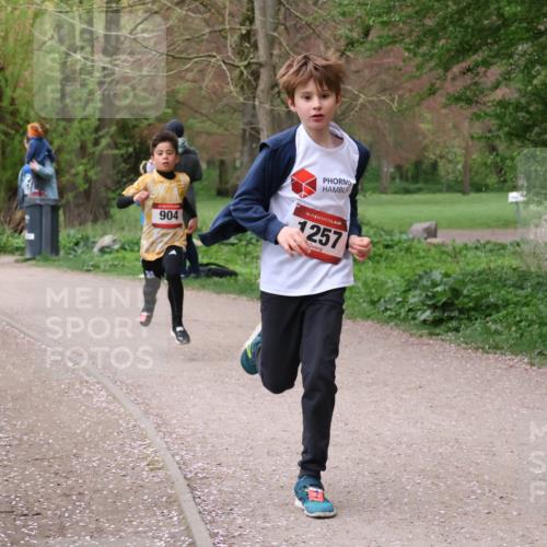 19.04.2026 - Hammer Lauf Lena Gebhardt http://msf.ph/oto/9562327 19.04.2026 09:24:52 Laufen 904, 16, 1257 meine-sportfotos.de