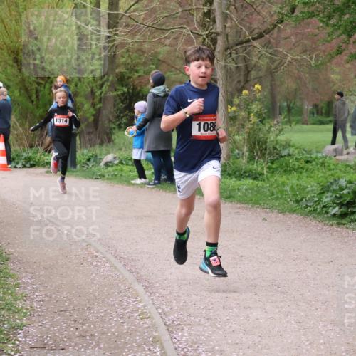 19.04.2026 - Hammer Lauf Lena Gebhardt http://msf.ph/oto/9562337 19.04.2026 09:24:57 Laufen 1314, 16, 1086 meine-sportfotos.de