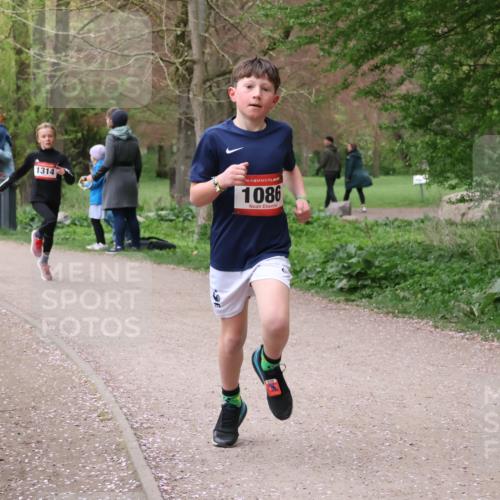 19.04.2026 - Hammer Lauf Lena Gebhardt http://msf.ph/oto/9562340 19.04.2026 09:24:57 Laufen 1314, 16, 1086 meine-sportfotos.de