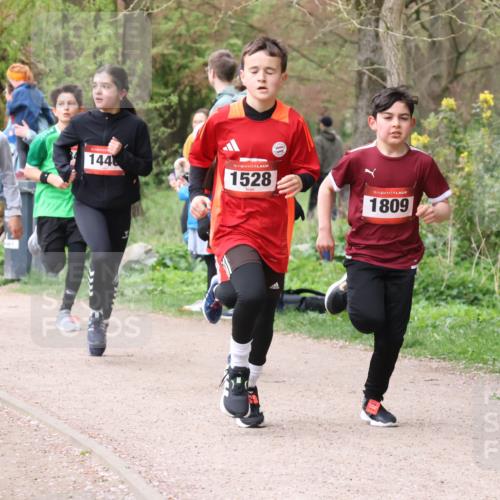 19.04.2026 - Hammer Lauf Lena Gebhardt http://msf.ph/oto/9562352 19.04.2026 09:25:03 Laufen 701, 18, 1405, 144, 16, 1528, 16, 1809 meine-sportfotos.de