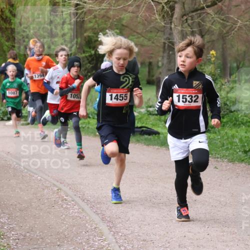 19.04.2026 - Hammer Lauf Lena Gebhardt http://msf.ph/oto/9562365 19.04.2026 09:25:09 Laufen 160, 1087, 1394, 1052, 2, 16, 1455, 16, 1532 meine-sportfotos.de
