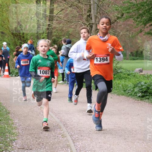 19.04.2026 - Hammer Lauf Lena Gebhardt http://msf.ph/oto/9562375 19.04.2026 09:25:12 Laufen 1526, 1099, 16, 1087, 16, 1394 meine-sportfotos.de