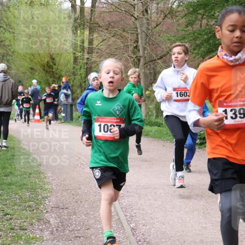 19.04.2026 - Hammer Lauf Lena Gebhardt http://msf.ph/oto/9562378 19.04.2026 09:25:13 Laufen 1526, 16, 1087, 52, 16, 1603, 16, 1394 meine-sportfotos.de