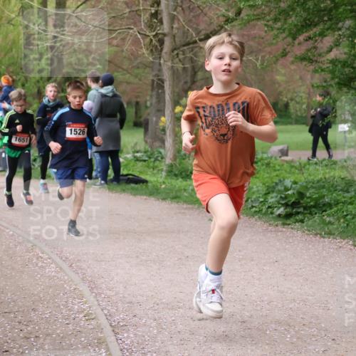 19.04.2026 - Hammer Lauf Lena Gebhardt http://msf.ph/oto/9562382 19.04.2026 09:25:15 Laufen 1637, 1651, 1526 meine-sportfotos.de