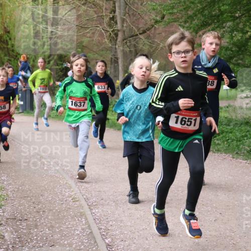 19.04.2026 - Hammer Lauf Lena Gebhardt http://msf.ph/oto/9562391 19.04.2026 09:25:18 Laufen 1449, 12, 458, 154, 1915, 1637, 633, 16, 1651, 38 meine-sportfotos.de