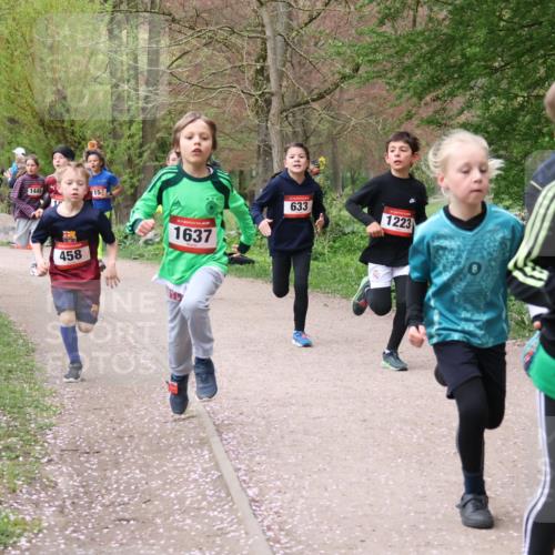 19.04.2026 - Hammer Lauf Lena Gebhardt http://msf.ph/oto/9562393 19.04.2026 09:25:19 Laufen 1449, 115, 1804, 458, 1637, 633, 1223, 1651 meine-sportfotos.de