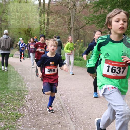 19.04.2026 - Hammer Lauf Lena Gebhardt http://msf.ph/oto/9562397 19.04.2026 09:25:20 Laufen 1449, 1811, 458, 16, 1637, 16, 1223 meine-sportfotos.de