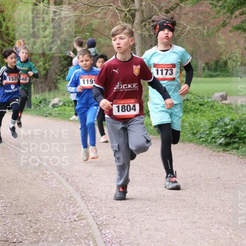 19.04.2026 - Hammer Lauf Lena Gebhardt http://msf.ph/oto/9562411 19.04.2026 09:25:25 Laufen 1522, 1525840, 1191, 16, 1804, 16, 1173 meine-sportfotos.de