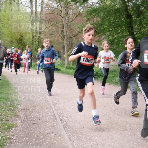 19.04.2026 - Hammer Lauf Lena Gebhardt http://msf.ph/oto/9562438 19.04.2026 09:25:35 Laufen 447, 1822, 1863, 569, 14, 16, 1432 meine-sportfotos.de