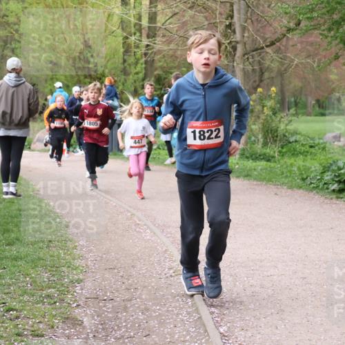 19.04.2026 - Hammer Lauf Lena Gebhardt http://msf.ph/oto/9562439 19.04.2026 09:25:35 Laufen 1195, 1805, 447, 1822 meine-sportfotos.de
