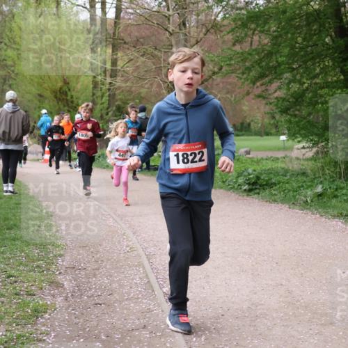 19.04.2026 - Hammer Lauf Lena Gebhardt http://msf.ph/oto/9562442 19.04.2026 09:25:36 Laufen 1805, 447, 1534, 1822 meine-sportfotos.de