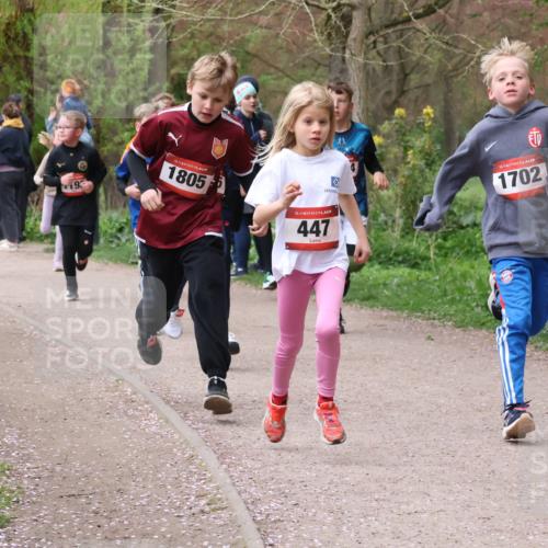 19.04.2026 - Hammer Lauf Lena Gebhardt http://msf.ph/oto/9562444 19.04.2026 09:25:37 Laufen 1478, 175, 9, 16, 1805, 16, 1702, 16, 447 meine-sportfotos.de