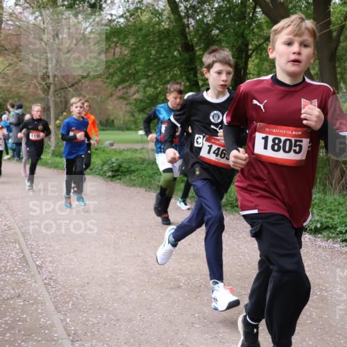 19.04.2026 - Hammer Lauf Lena Gebhardt http://msf.ph/oto/9562451 19.04.2026 09:25:39 Laufen 119, 16, 146, 16, 1805 meine-sportfotos.de