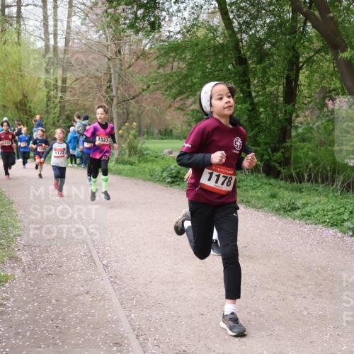 19.04.2026 - Hammer Lauf Lena Gebhardt http://msf.ph/oto/9562470 19.04.2026 09:25:46 Laufen 810, 124, 1523, 1172, 30, 16, 1178 meine-sportfotos.de
