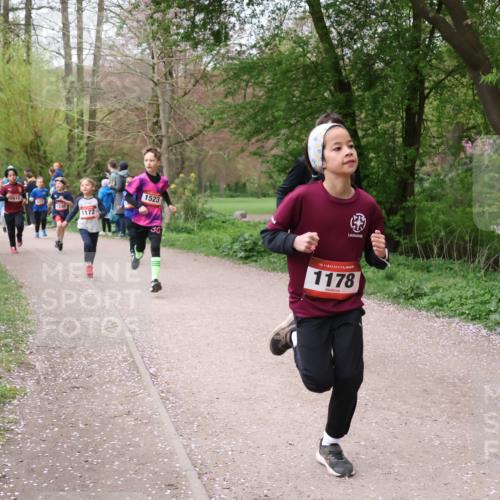 19.04.2026 - Hammer Lauf Lena Gebhardt http://msf.ph/oto/9562471 19.04.2026 09:25:46 Laufen 810, 1240, 1172, 1523, 30, 16, 1178 meine-sportfotos.de