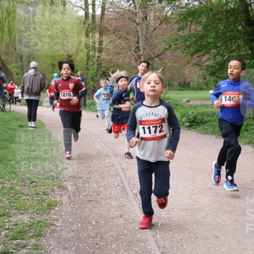 19.04.2026 - Hammer Lauf Lena Gebhardt http://msf.ph/oto/9562474 19.04.2026 09:25:48 Laufen 1810, 143, 16, 1172, 14 meine-sportfotos.de