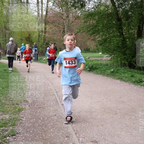 19.04.2026 - Hammer Lauf Lena Gebhardt http://msf.ph/oto/9562480 19.04.2026 09:25:51 Laufen 1412, 579, 16, 1433 meine-sportfotos.de