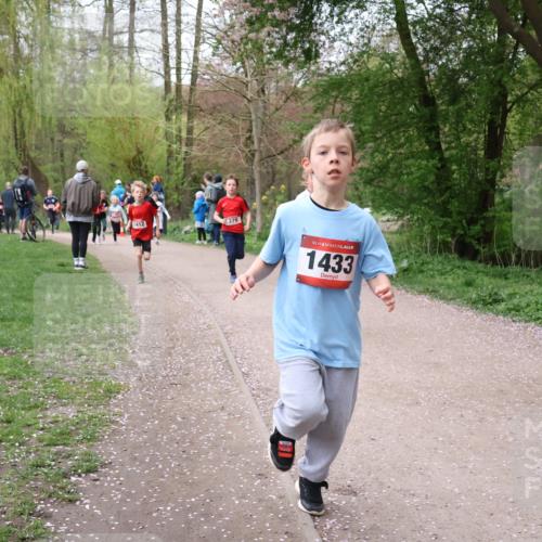 19.04.2026 - Hammer Lauf Lena Gebhardt http://msf.ph/oto/9562481 19.04.2026 09:25:51 Laufen 1412, 379, 16, 1433 meine-sportfotos.de