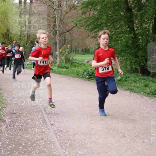 19.04.2026 - Hammer Lauf Lena Gebhardt http://msf.ph/oto/9562484 19.04.2026 09:25:53 Laufen 1060, 517, 1412, 379 meine-sportfotos.de