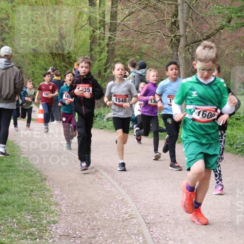 19.04.2026 - Hammer Lauf Lena Gebhardt http://msf.ph/oto/9562506 19.04.2026 09:26:01 Laufen 180, 155, 140, 35, 1548, 136, 160 meine-sportfotos.de