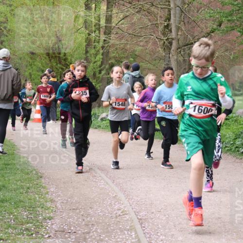 19.04.2026 - Hammer Lauf Lena Gebhardt http://msf.ph/oto/9562507 19.04.2026 09:26:01 Laufen 155, 884, 1808, 35, 1548, 150, 1600 meine-sportfotos.de